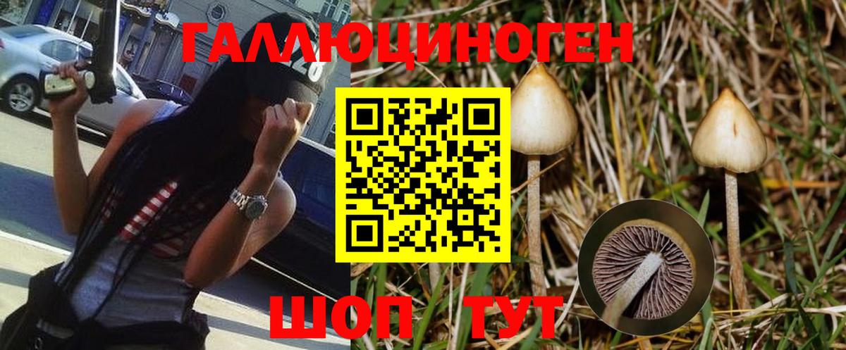 Псилоцибиновые грибы MAGIC MUSHROOMS  Псилоцибиновые грибы прущие грибы  наркотики  Вход с VPN  Ипатово 
